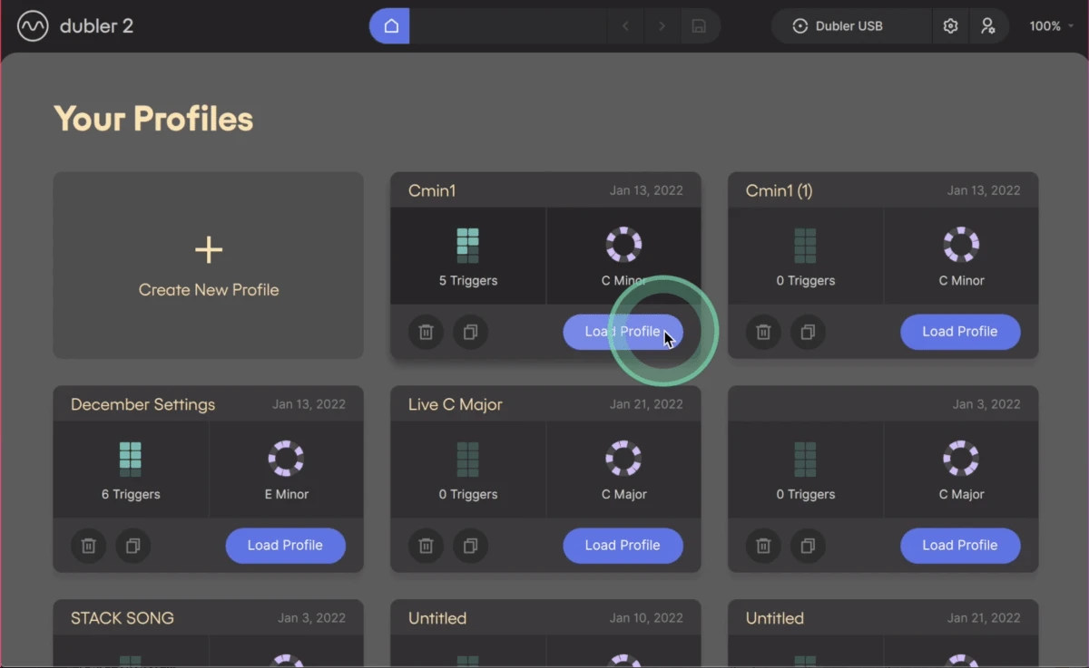 Dubler 2 - Profile interface