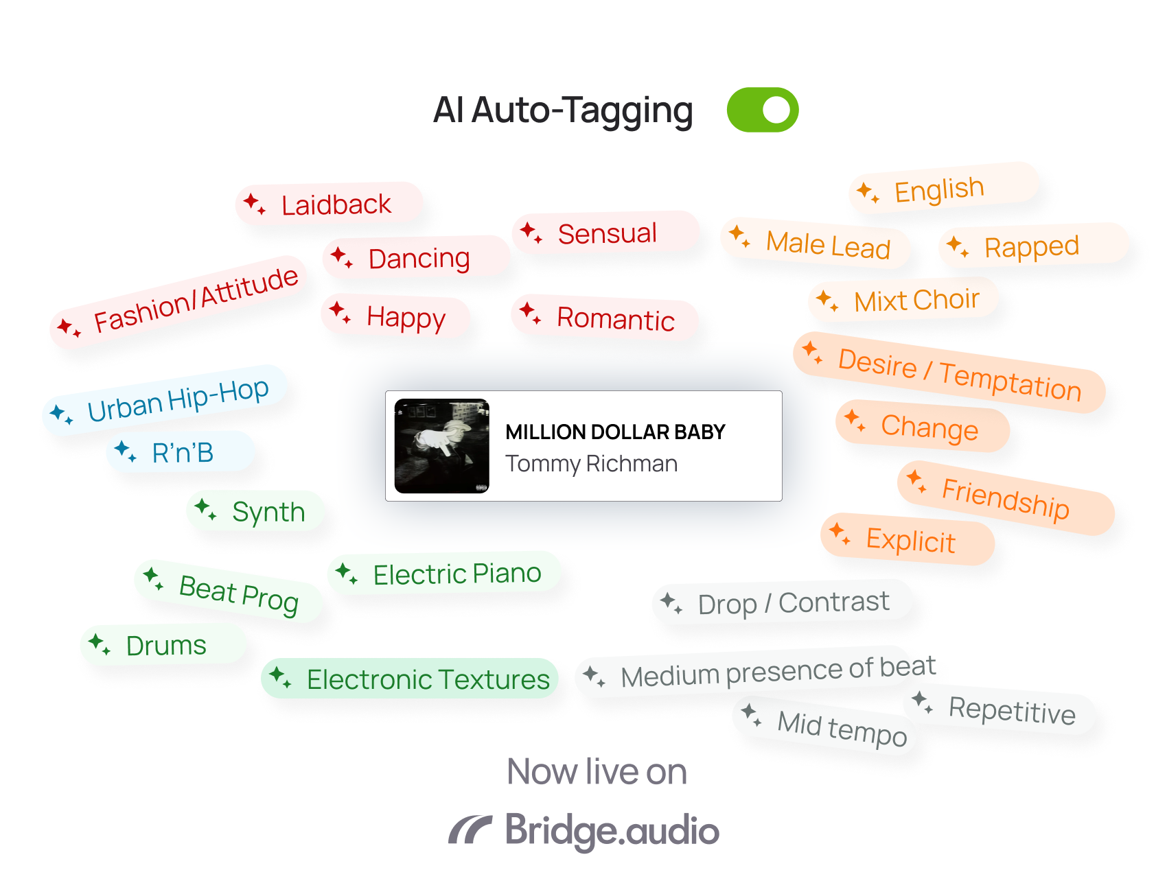 Bridge.audio auto tagging demonstration