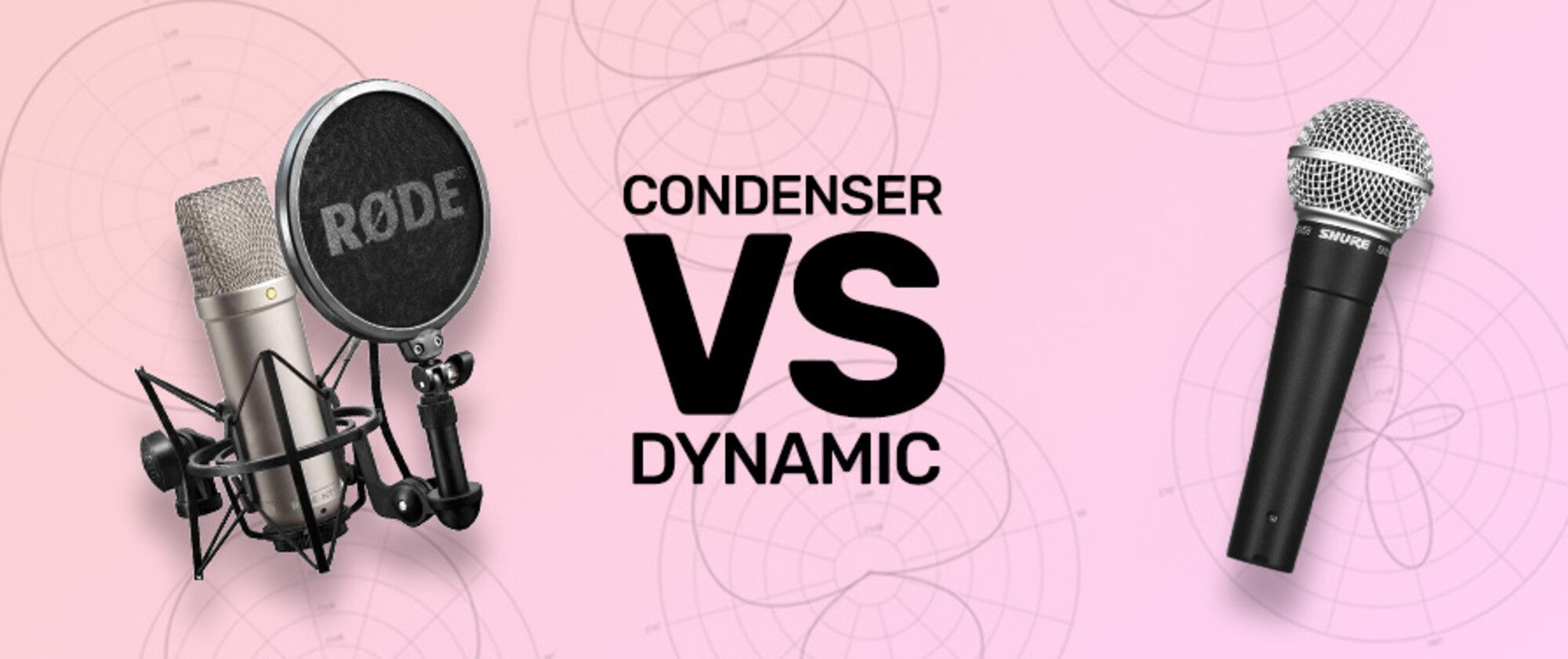 image shows a condenser microphone and a dynamic microphone and both can we used with Dubler 2