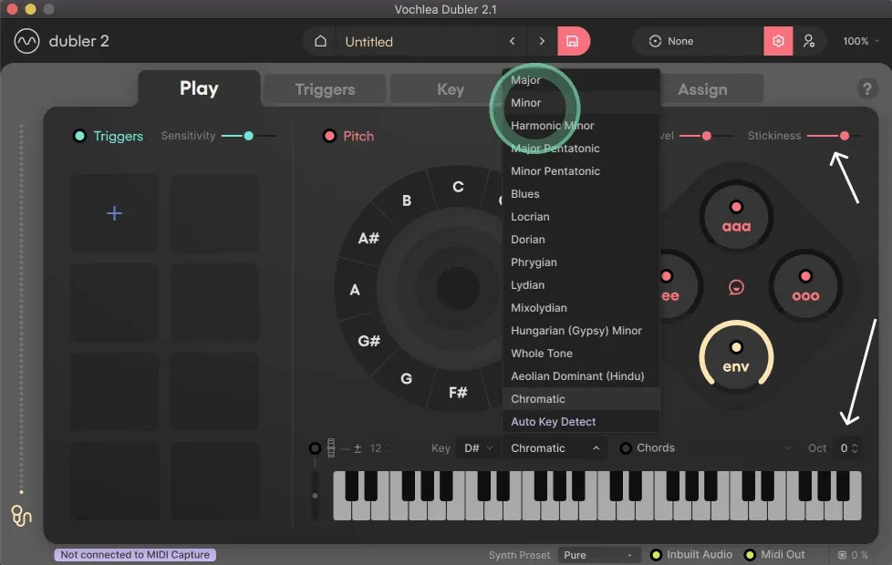 Settings For Singing Basslines
