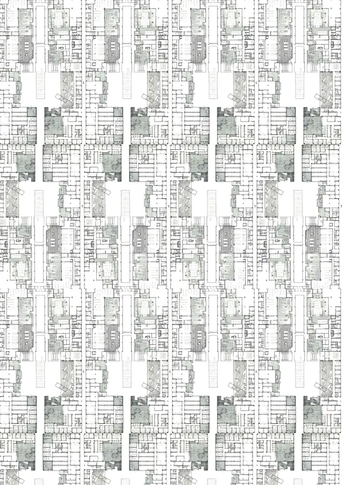 Raw material 135