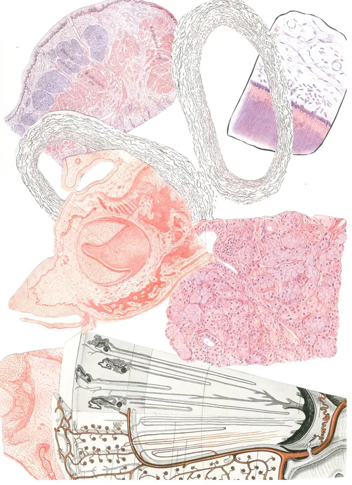 Raw material 128
