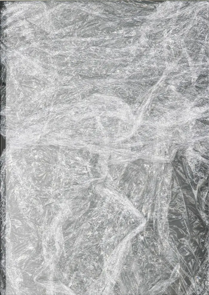 Raw material 199
