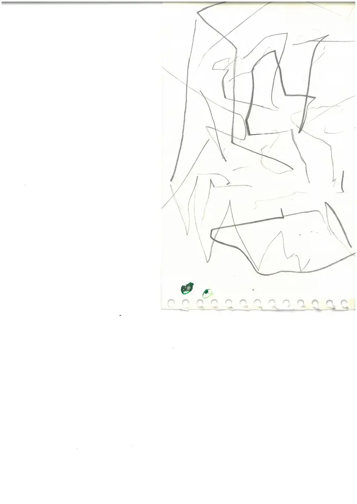 Raw material 66