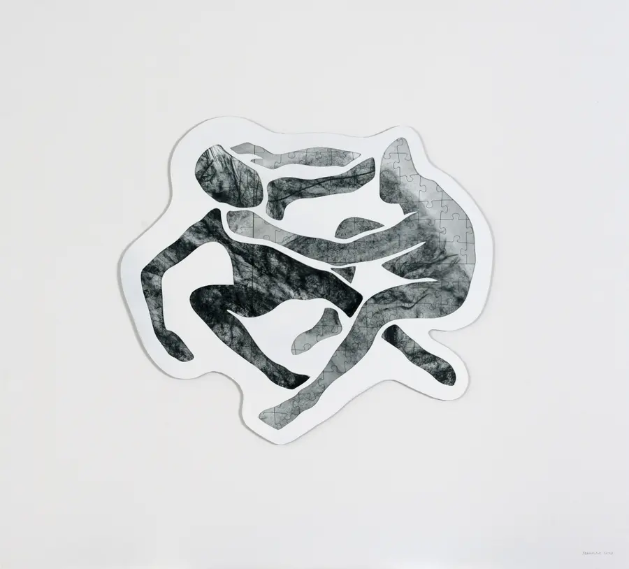 Porcupine series
