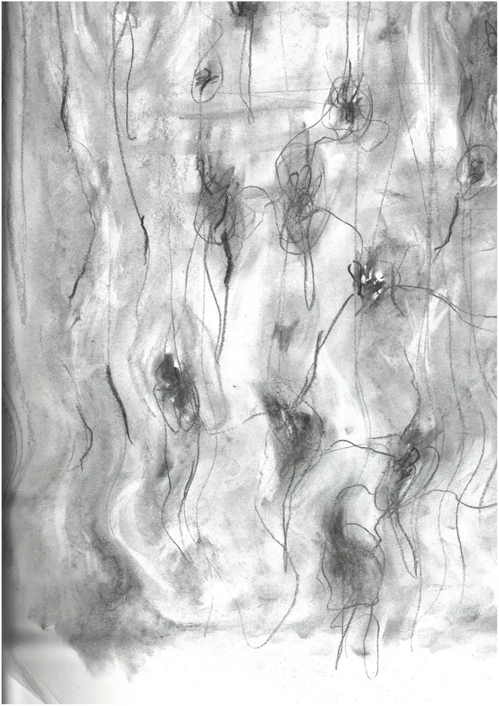 Raw material 85