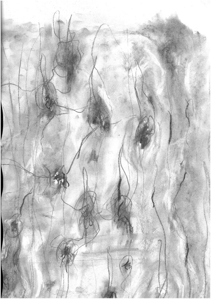 Raw material 84