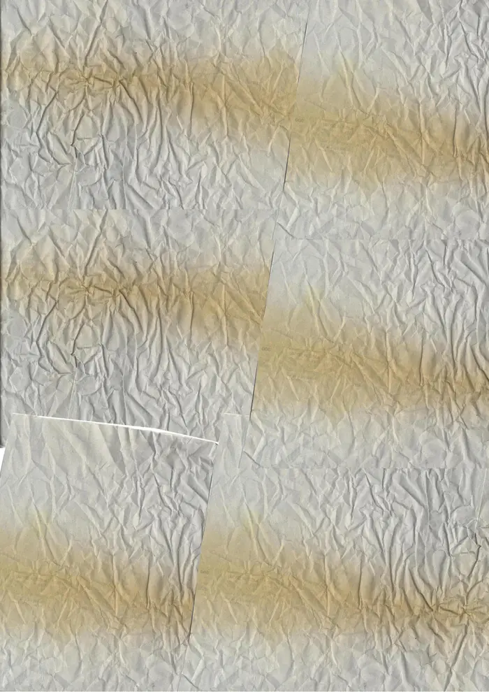 Raw material 204