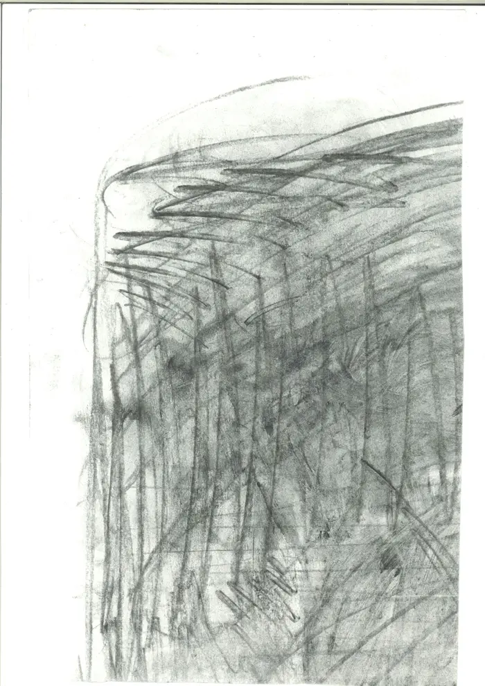Raw material 87