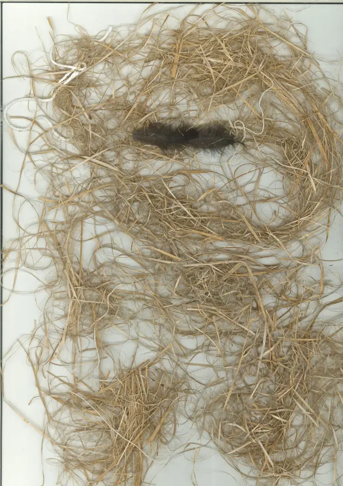 Raw material 28