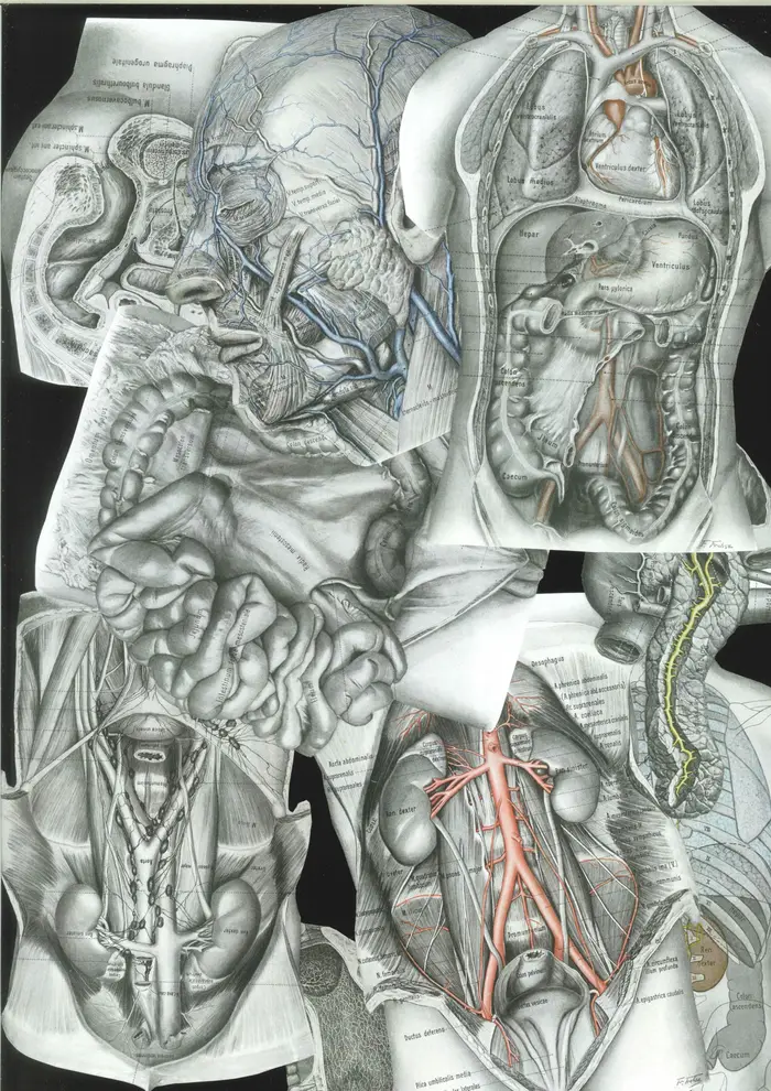 Raw material 117