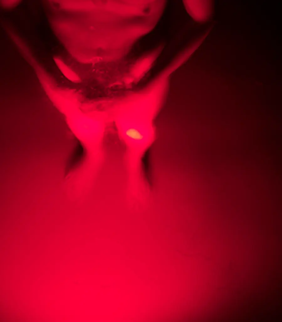 VIDEO ART