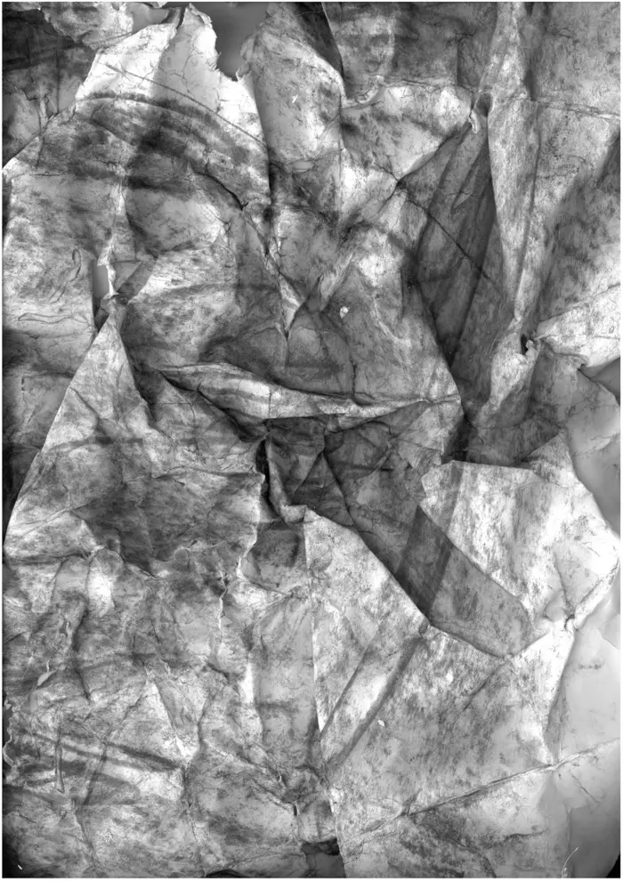 Raw material 81