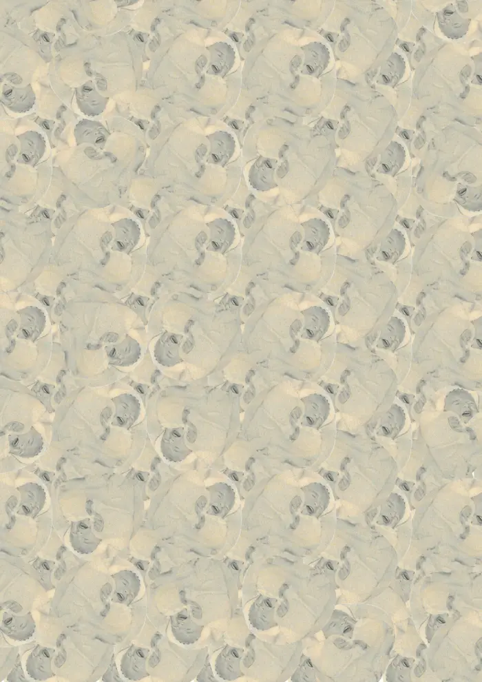 Raw material 195
