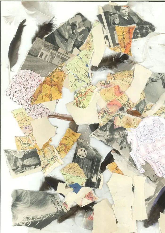 Raw material 118