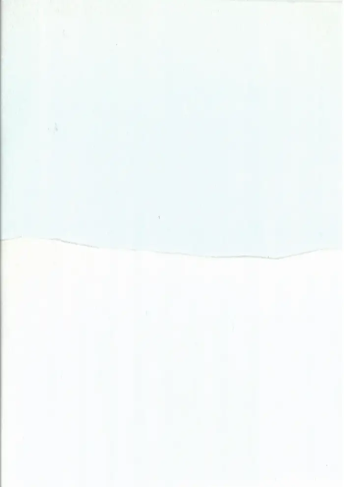 Raw material 219