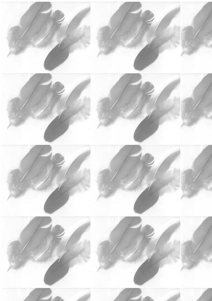Raw material 196