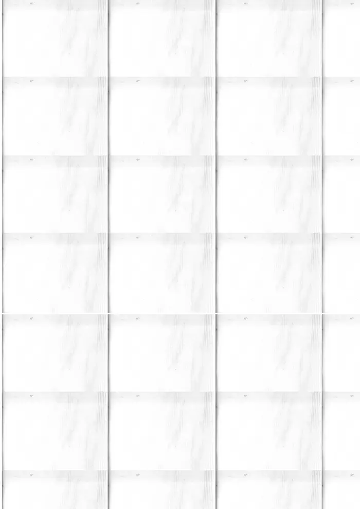 Raw material 217
