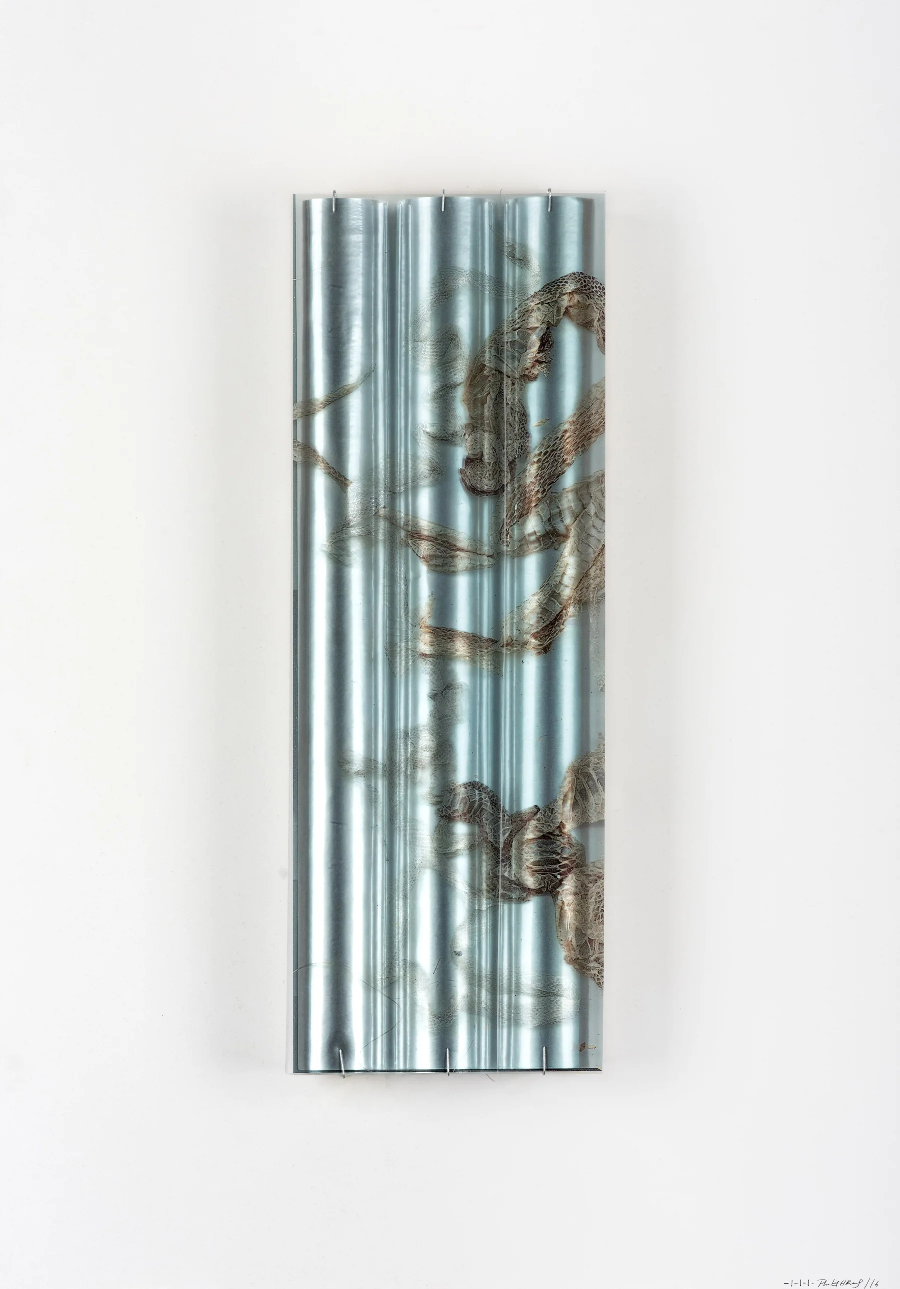 Skin tubes