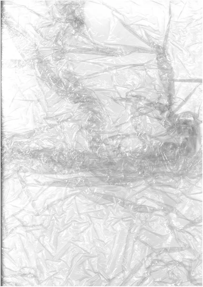 Raw material 116