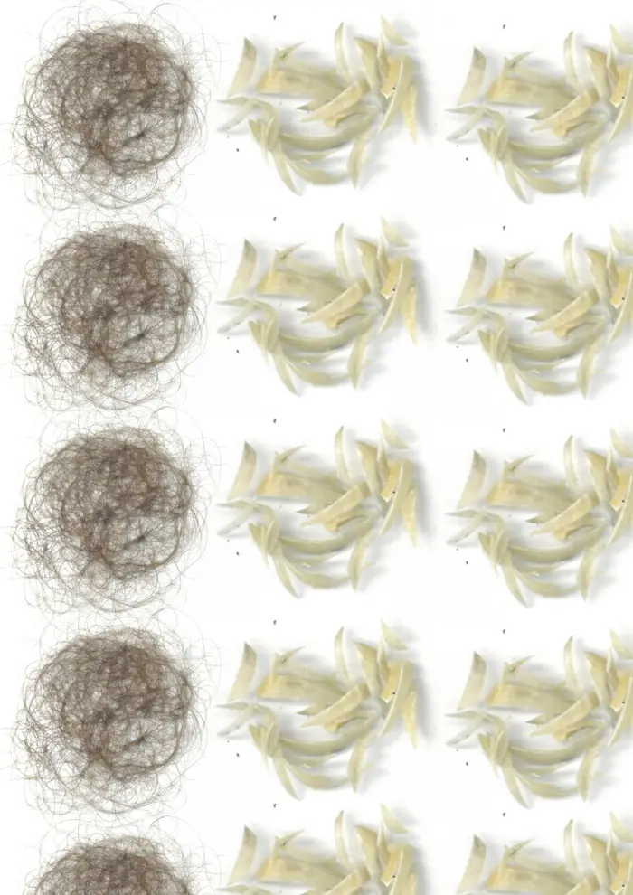 Raw material 21