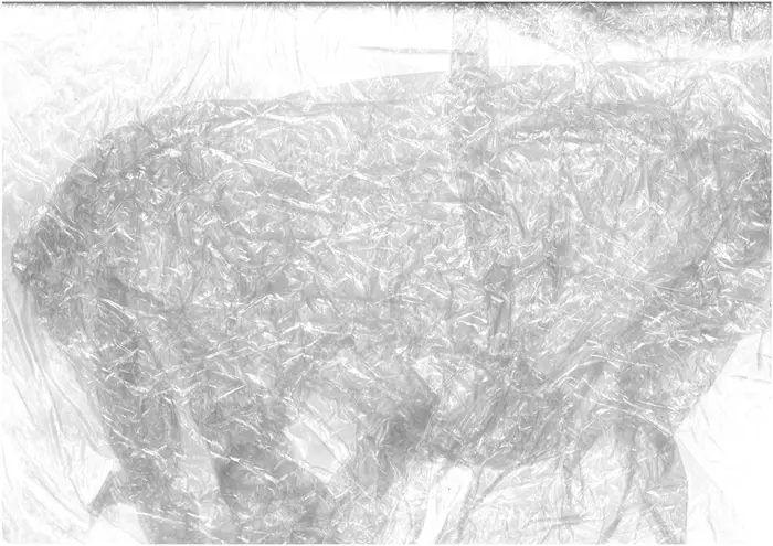 Raw material 45