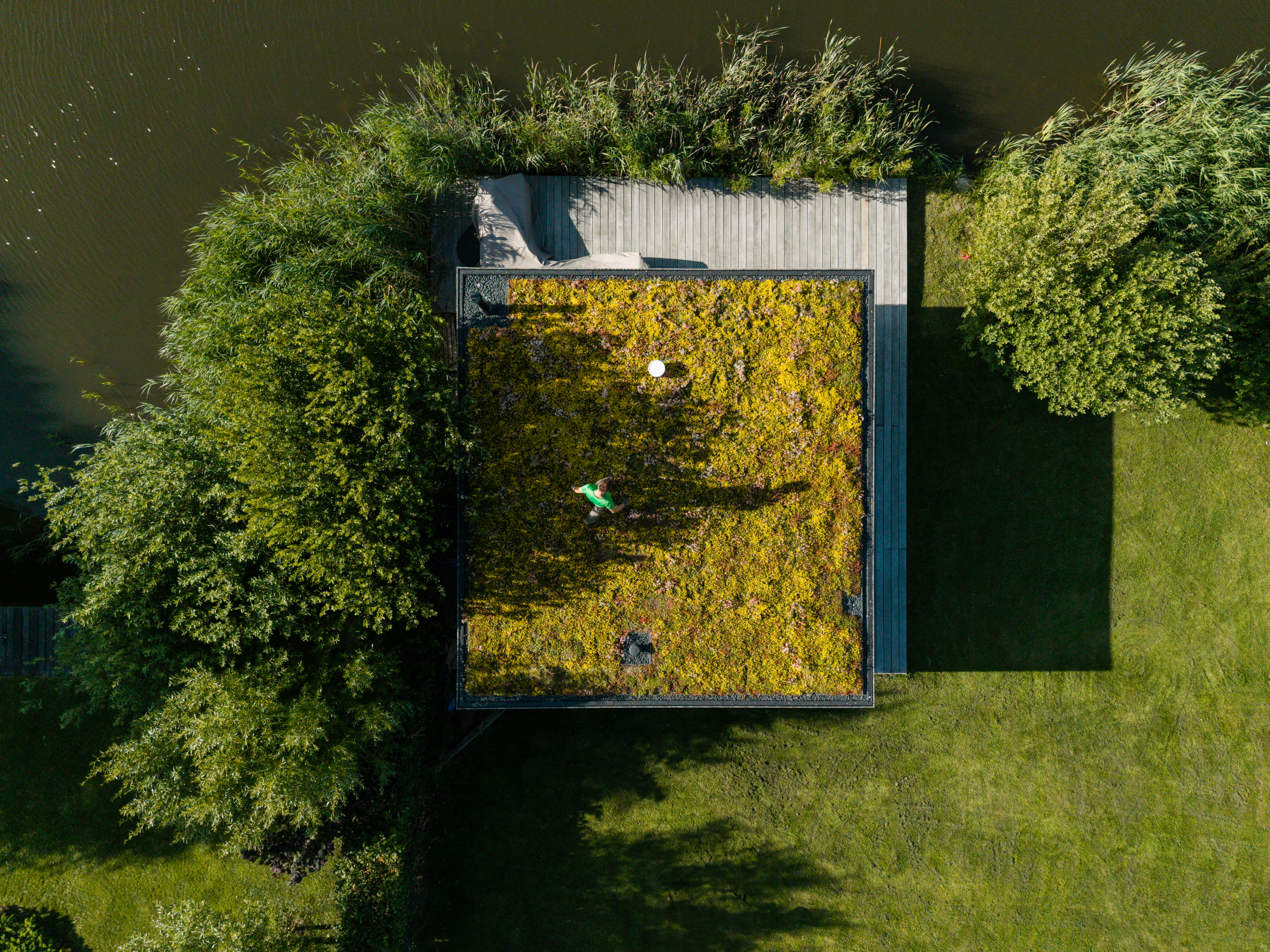 sedumdak-droneshot1 onderhoud groendak sedum