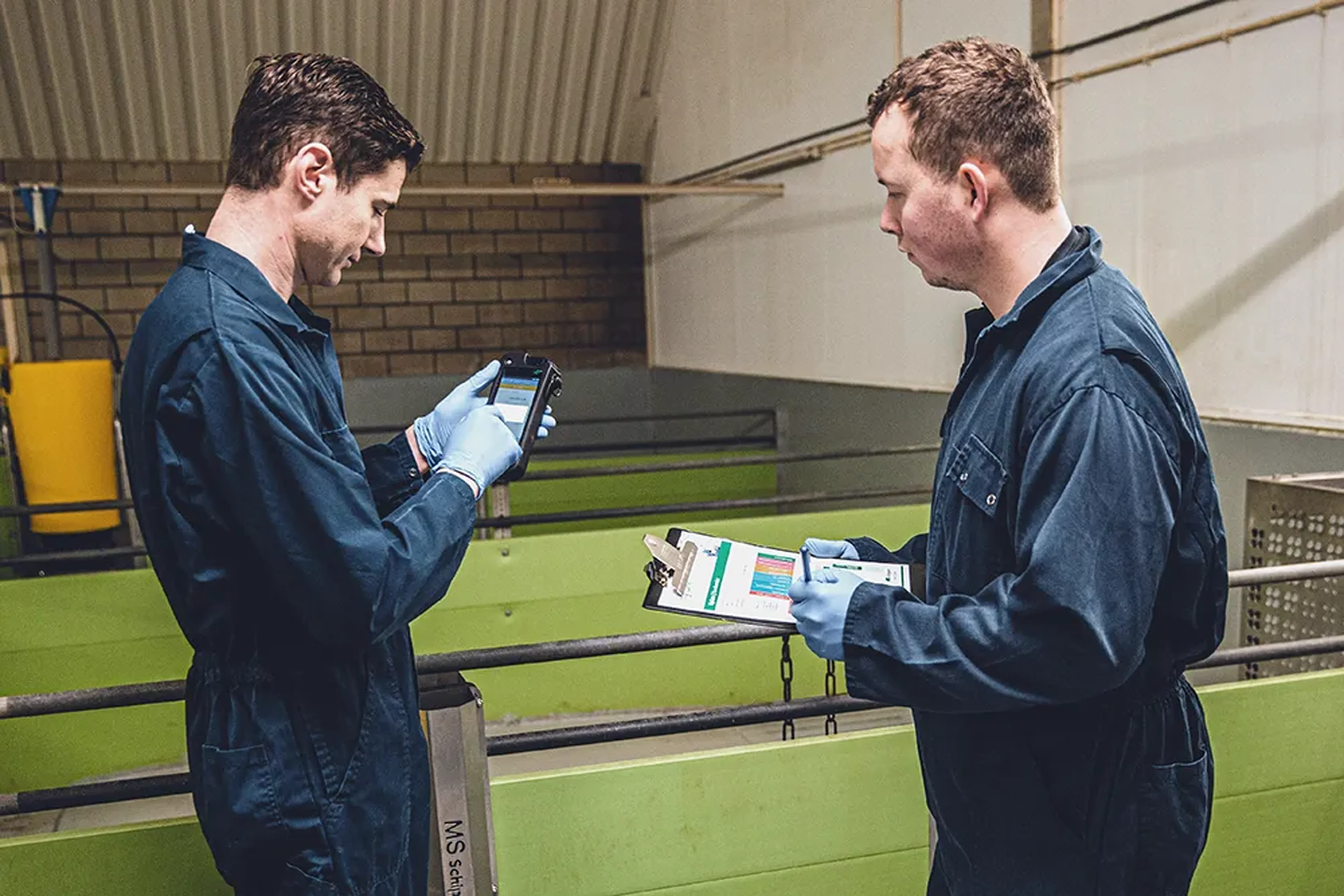 Hygiene check pig stable