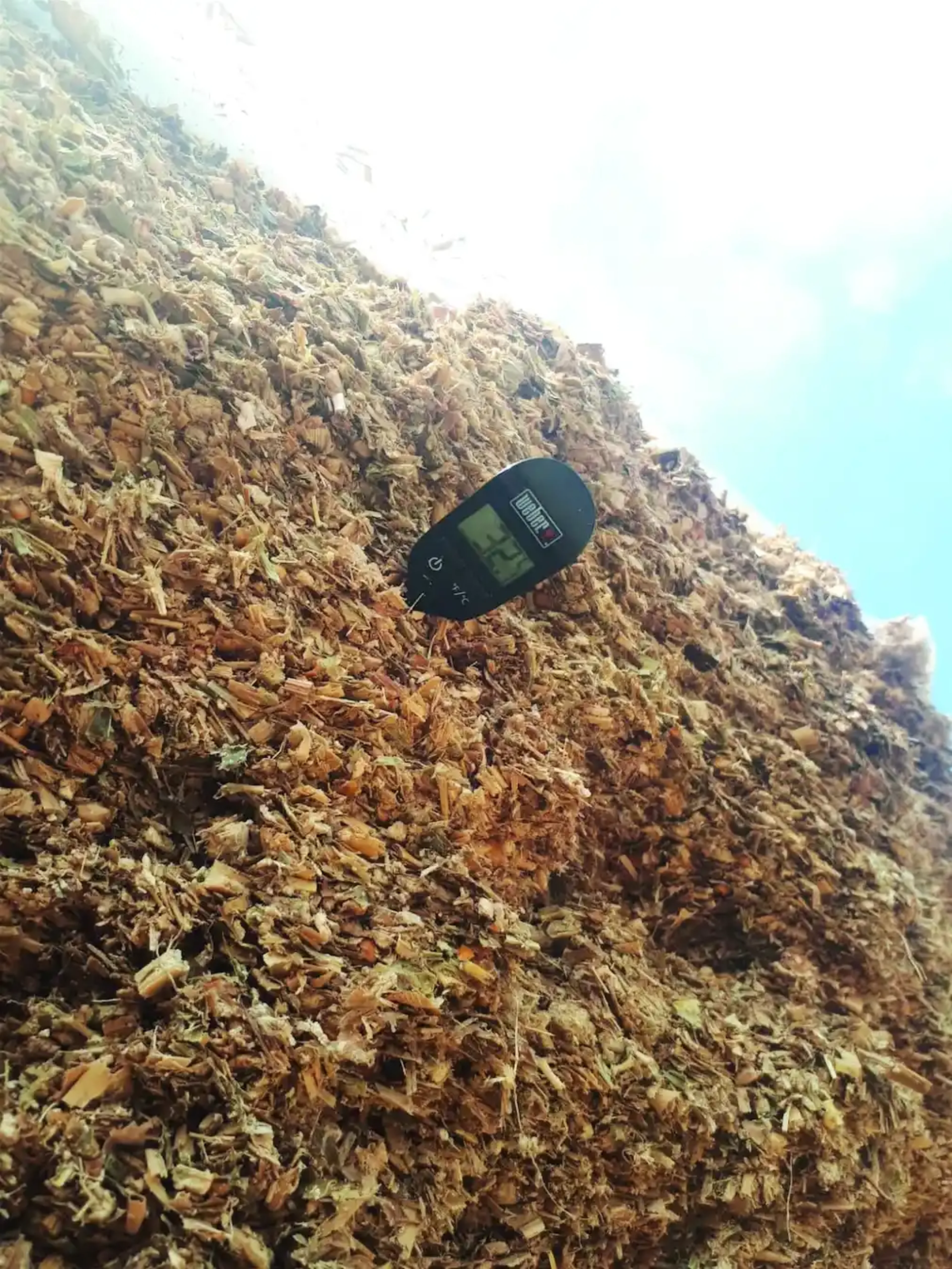 WetFeed Silage temperature scalding