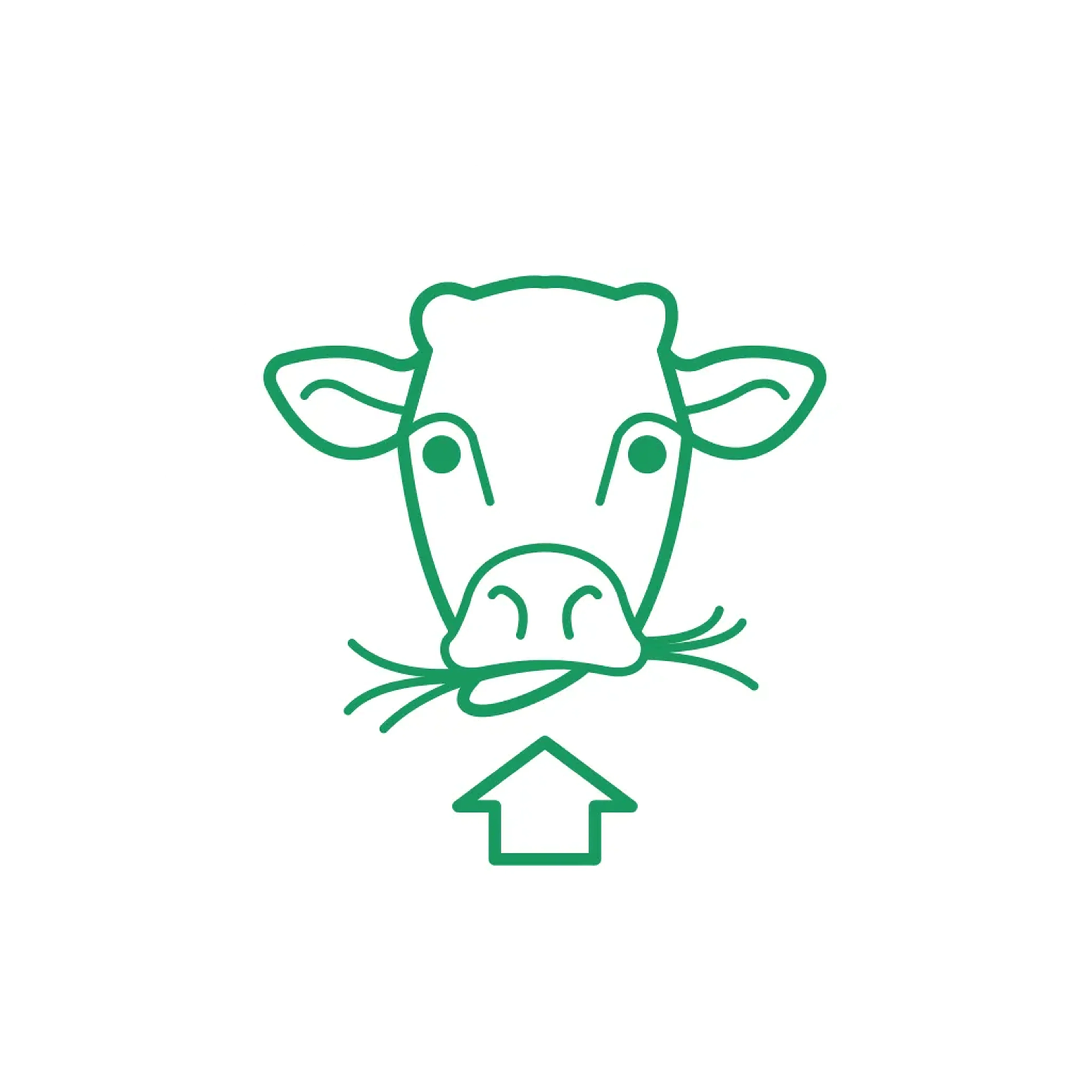 How does udder edema spread?
