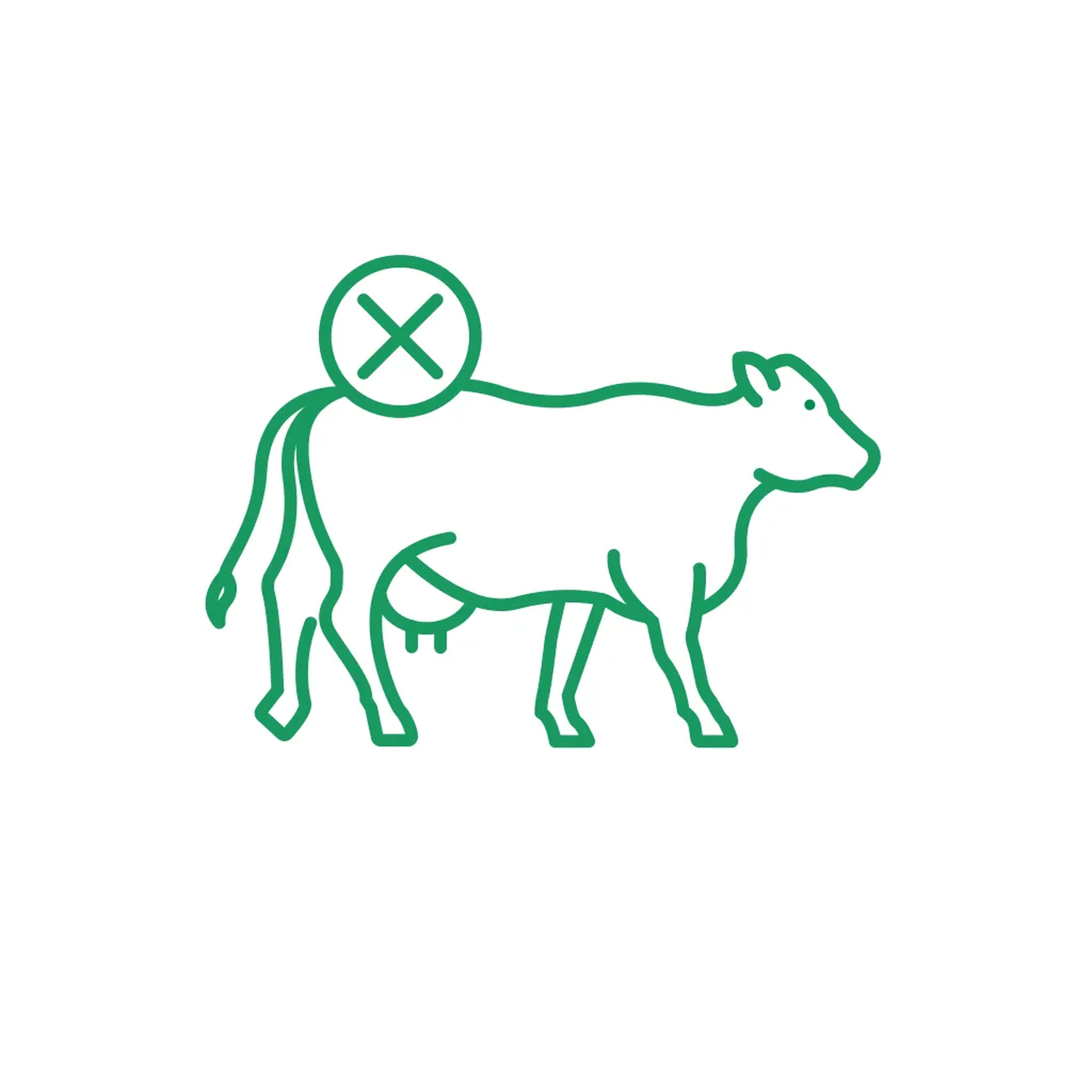 How does udder edema spread?