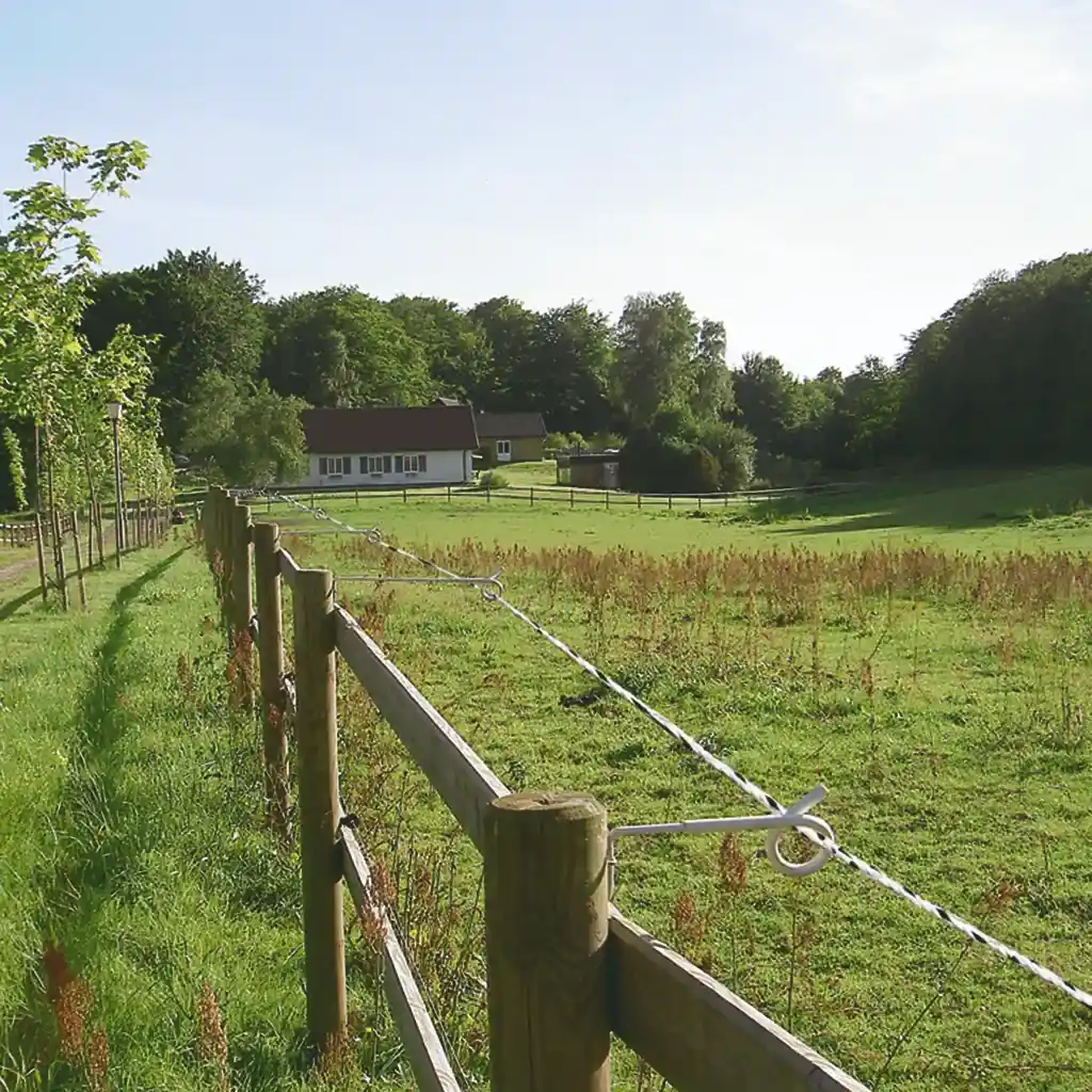 fencing with pole and wire