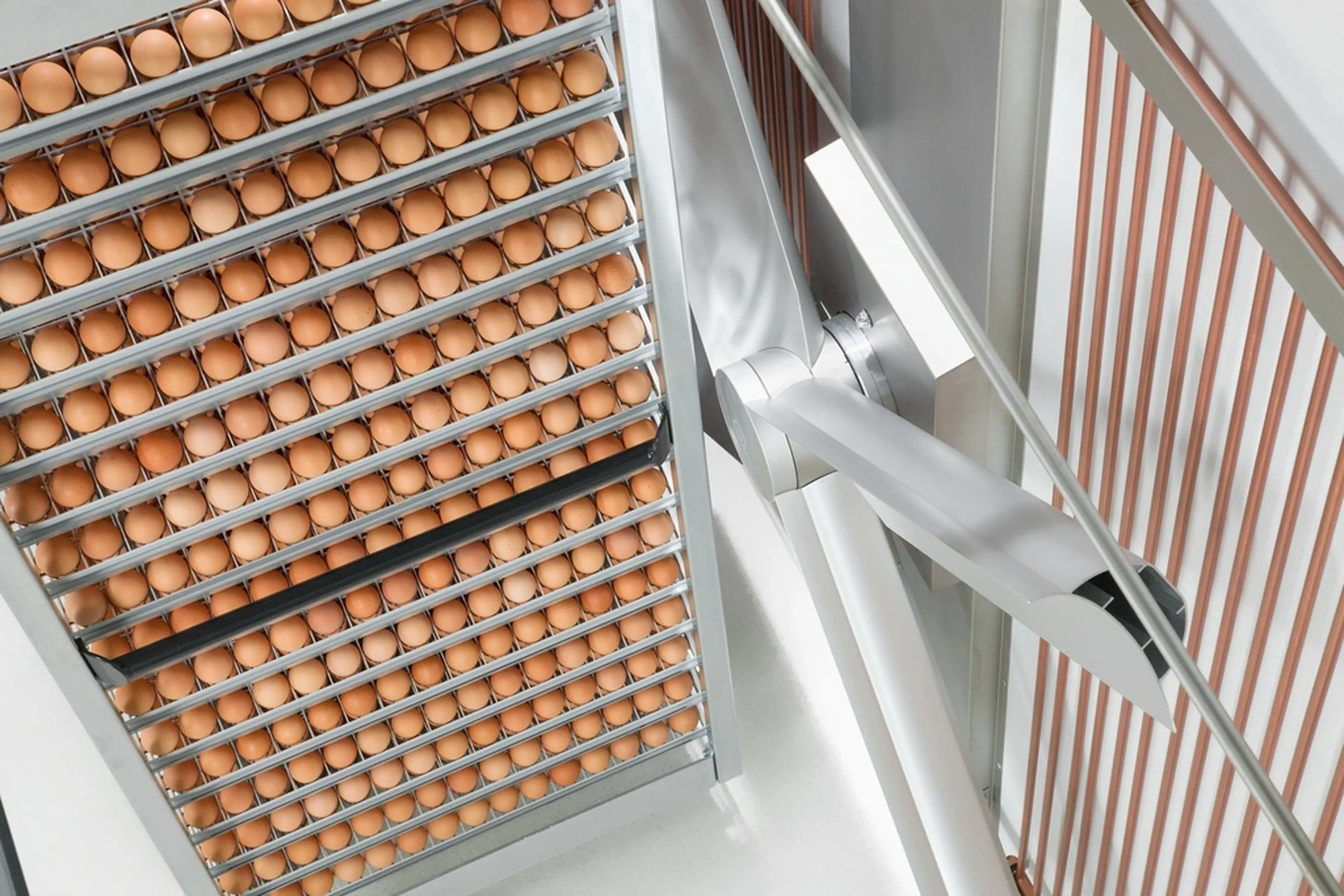 hatchery hycare