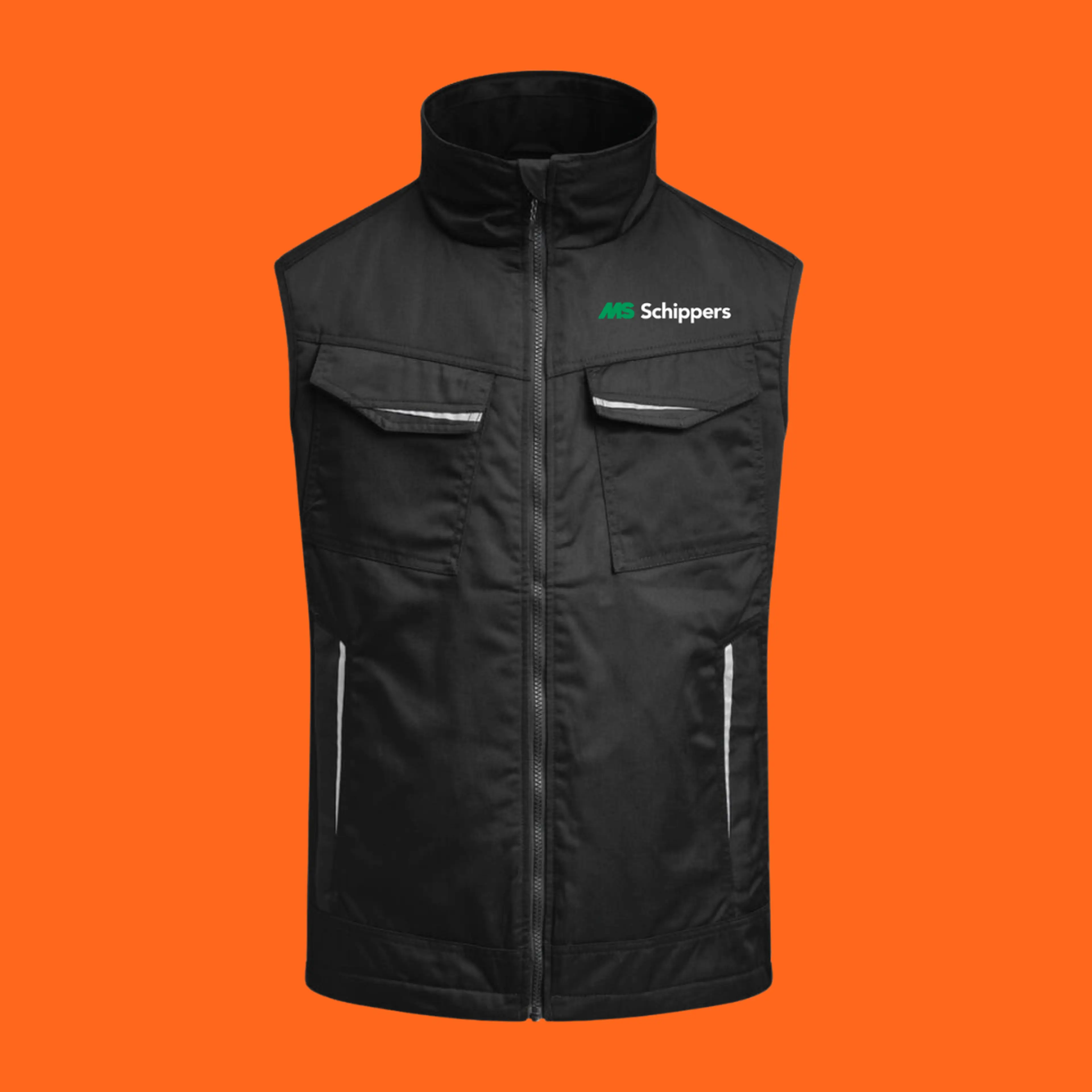 60 years of Schippers