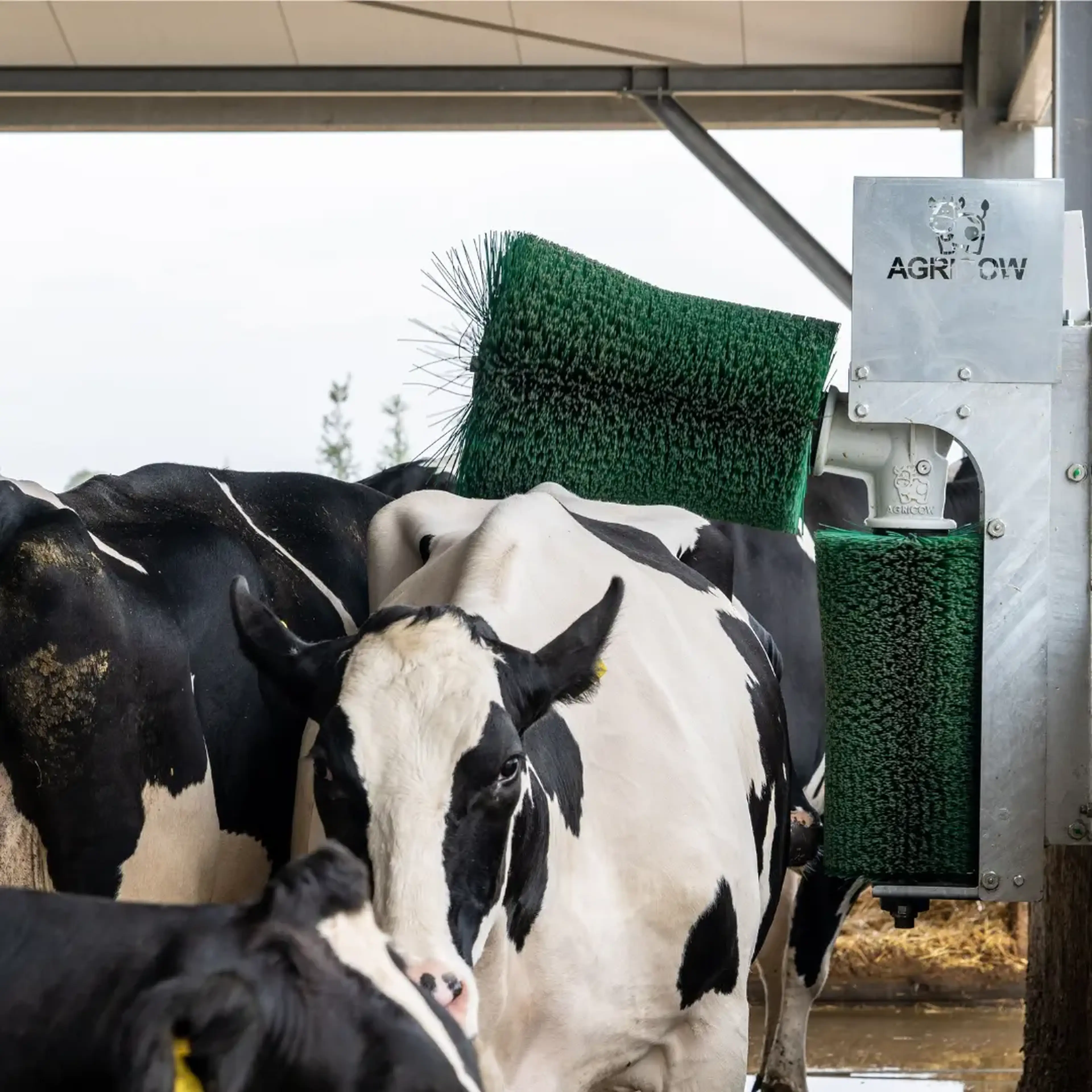 agricow pendulum brush