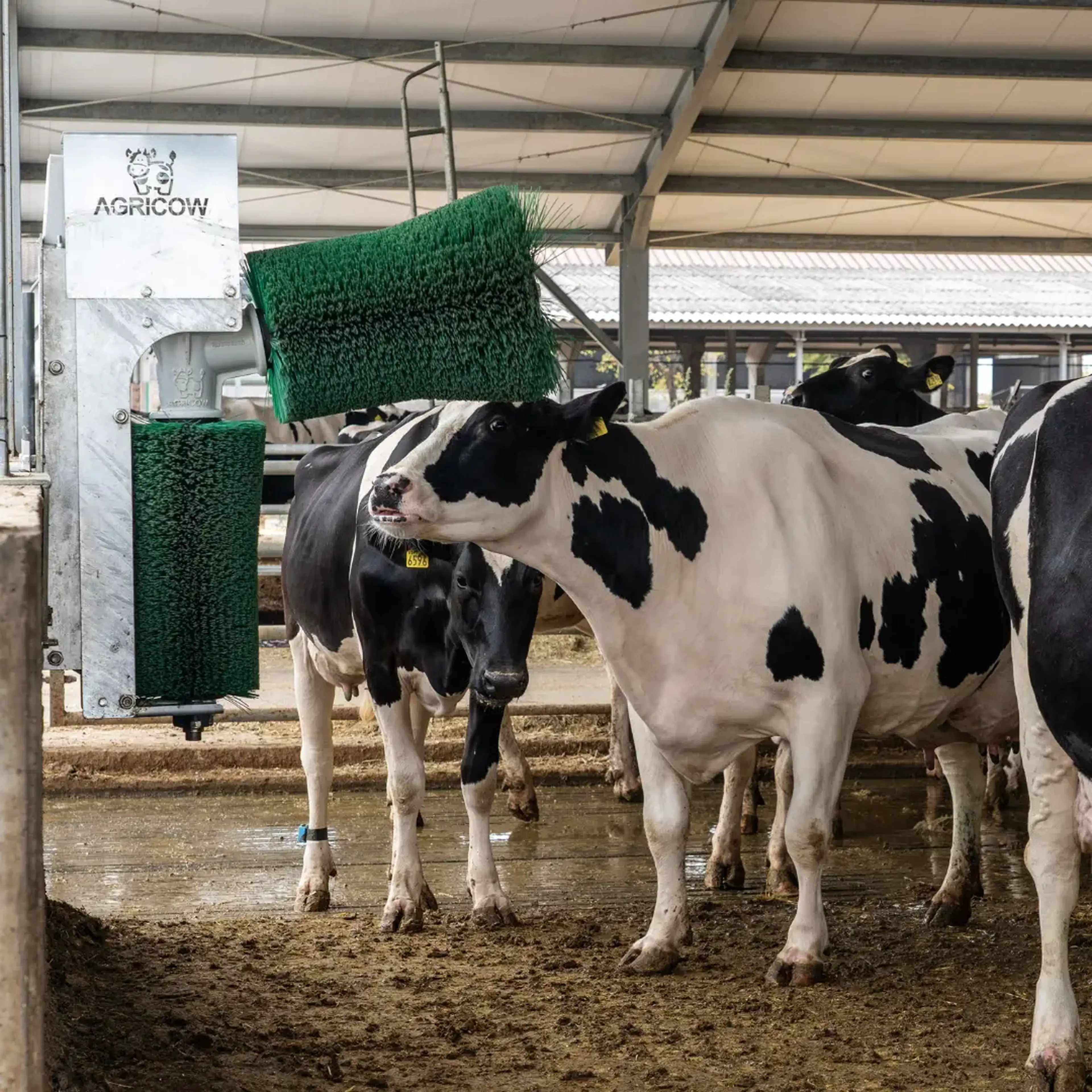 agricow pendulum brush