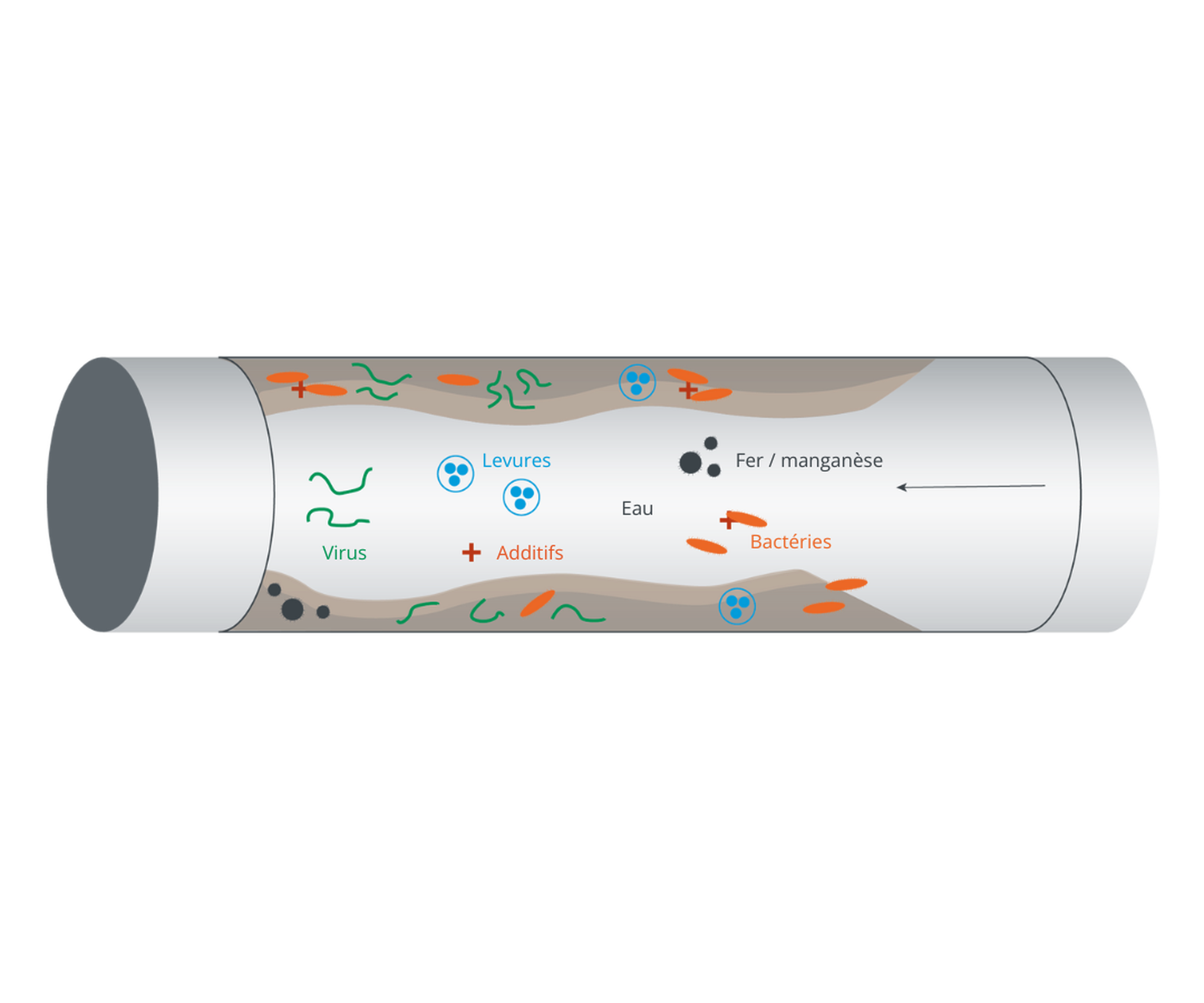 Éliminer le biofilm : quelles solutions adopter