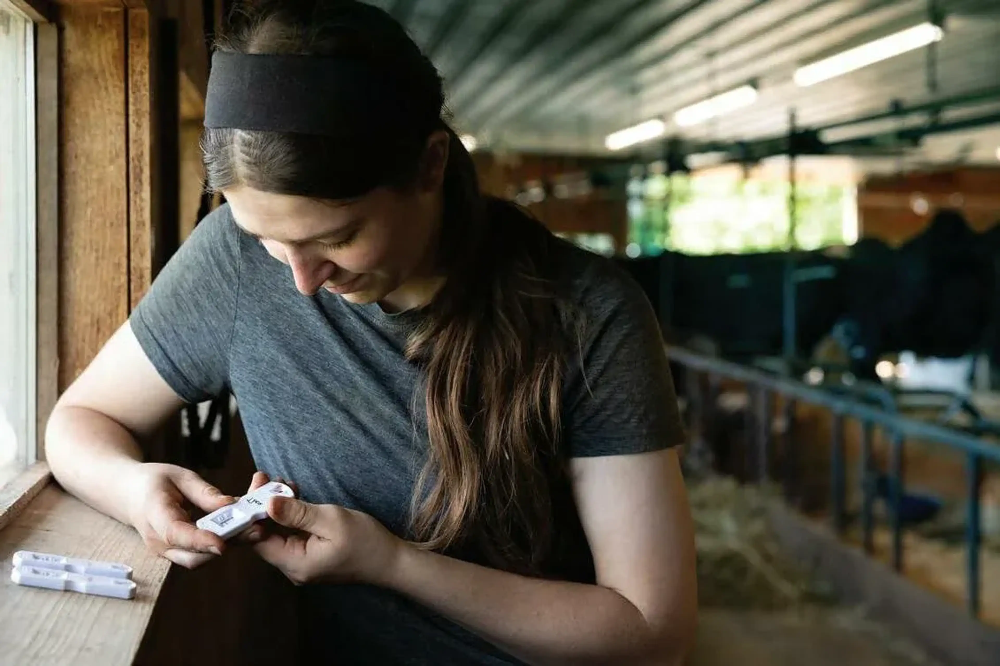 Test de gestation précoce Alertys OnFarm