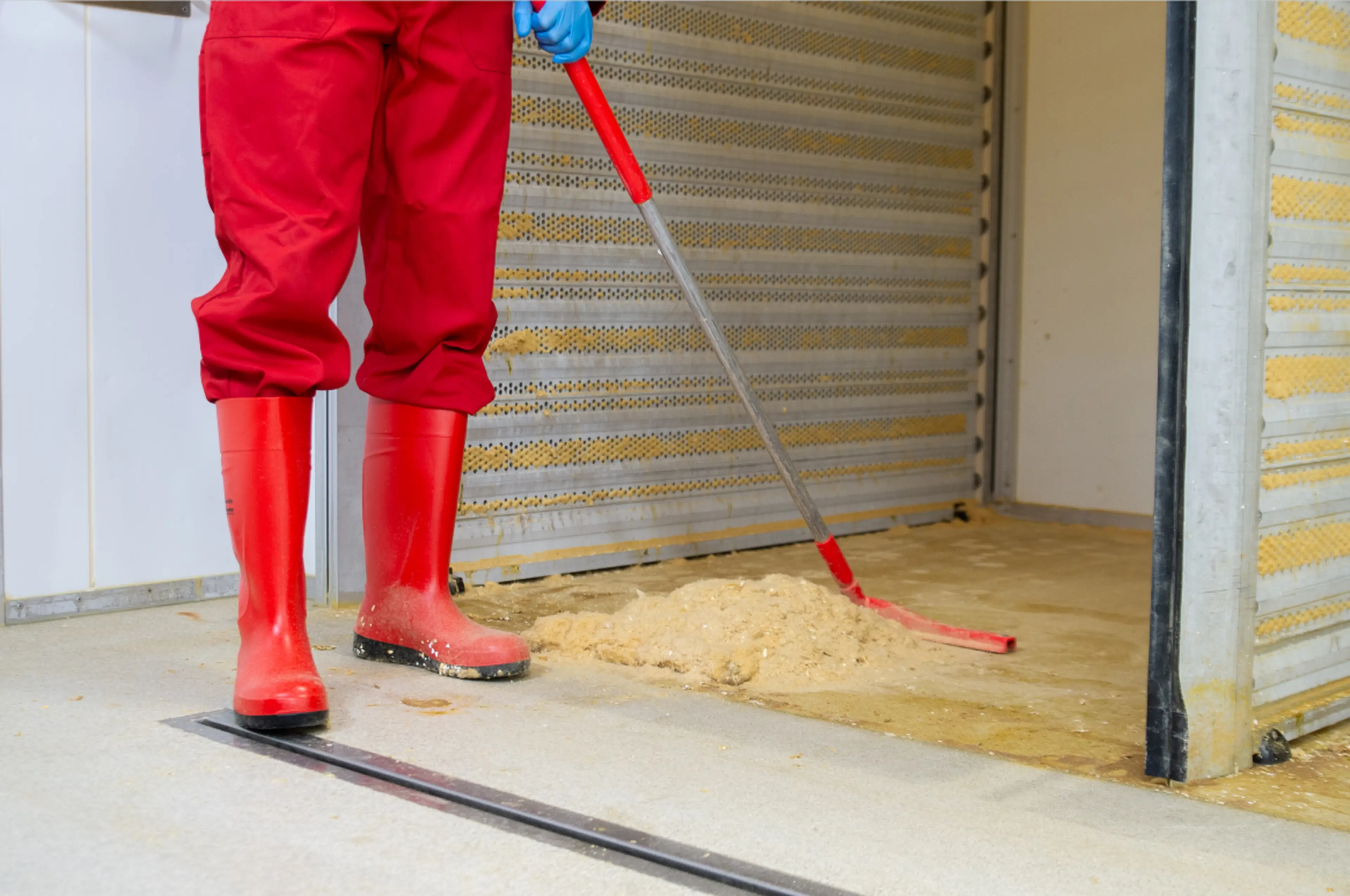 Preparación minuciosa