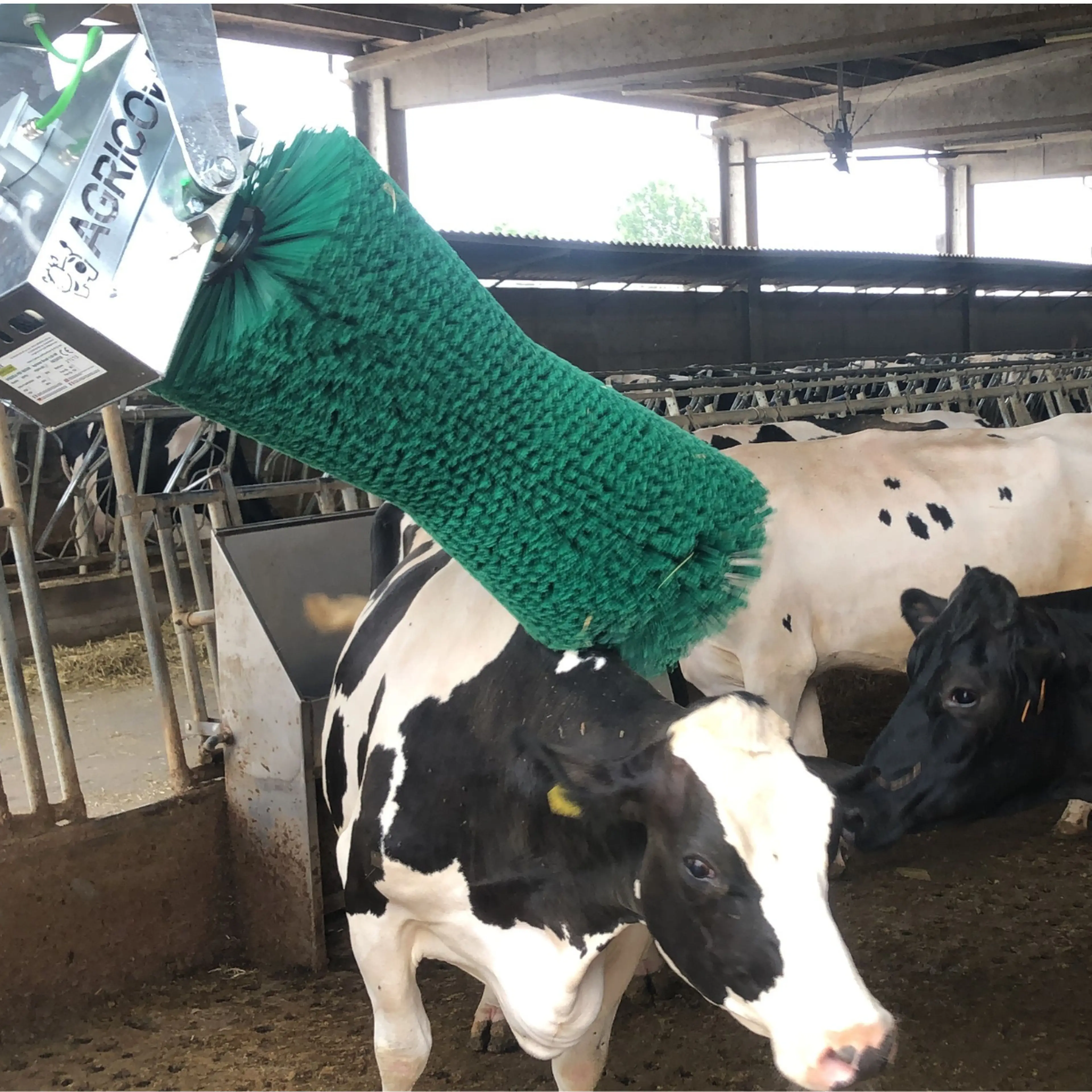 agricow pendulum brush