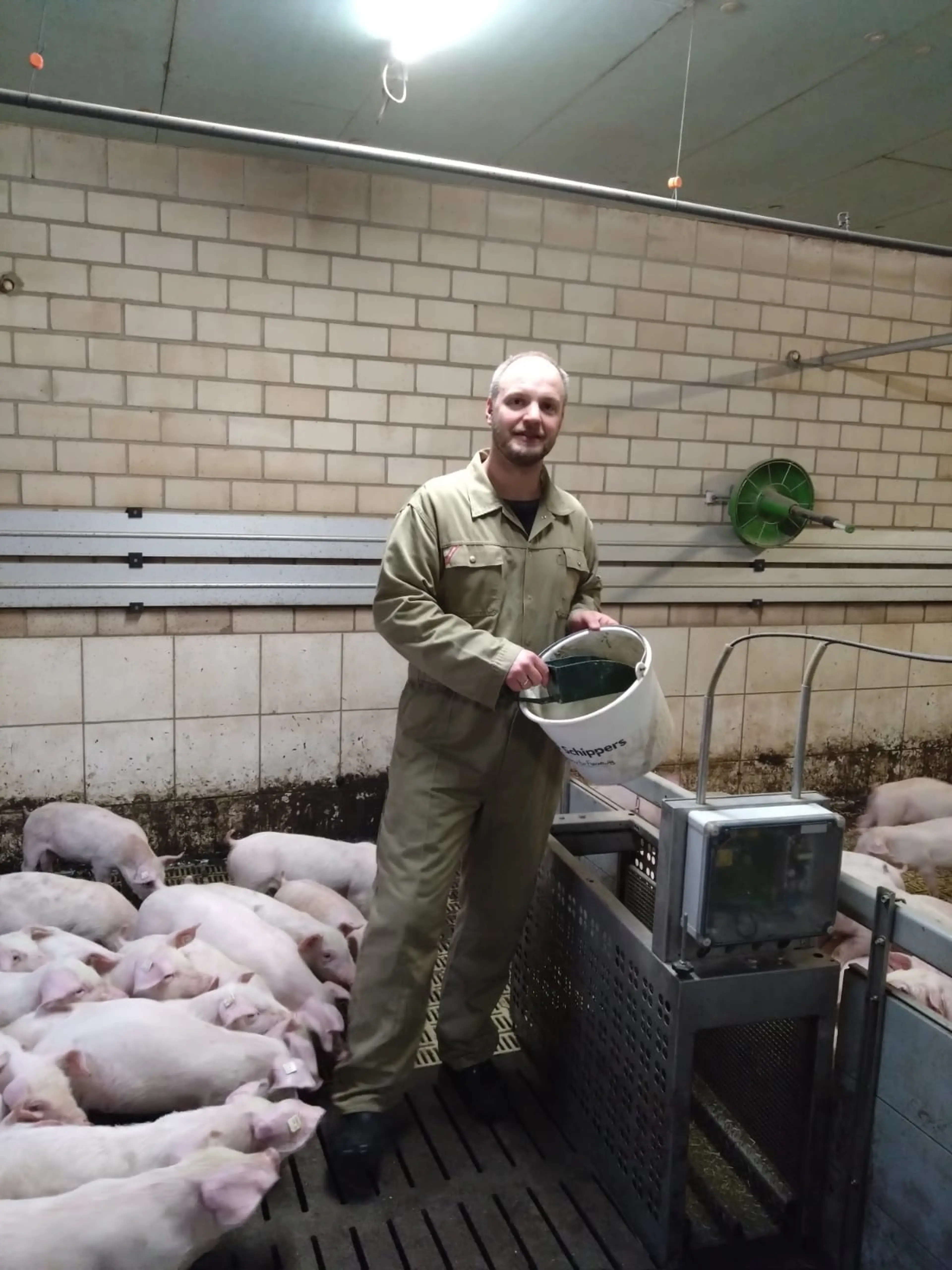 Dierkes, Ferkelerzeuger