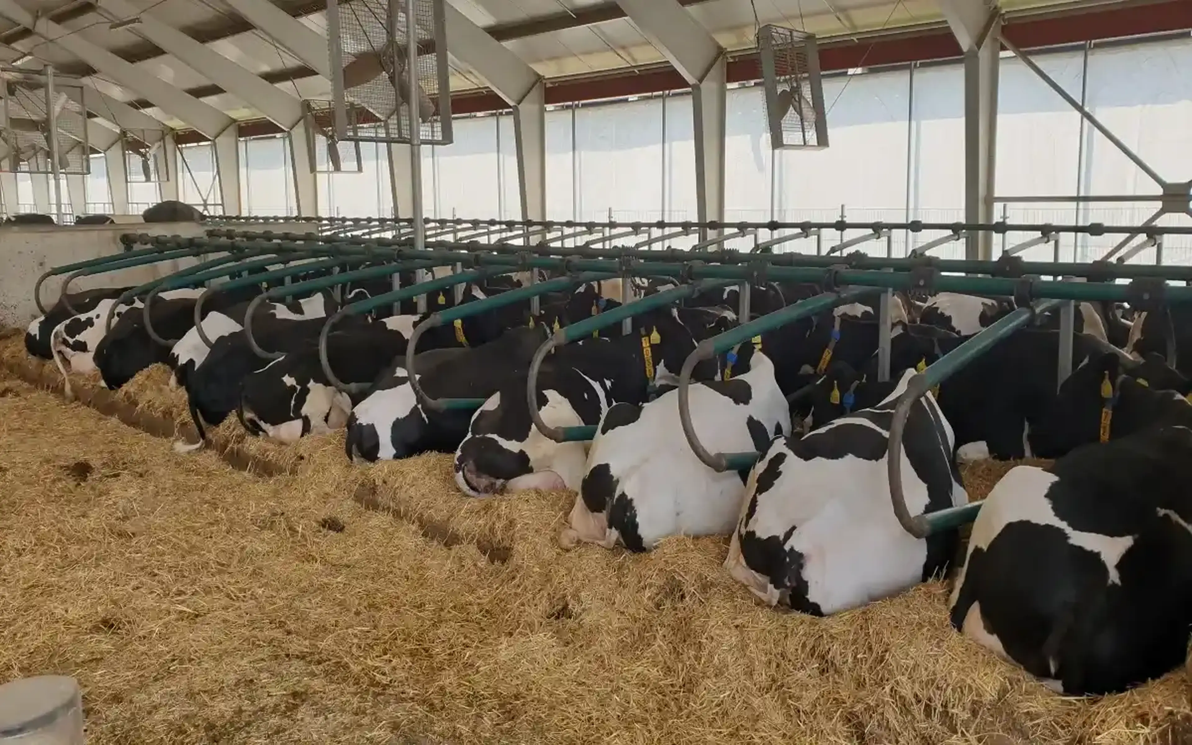 Van de Belt Agri Service