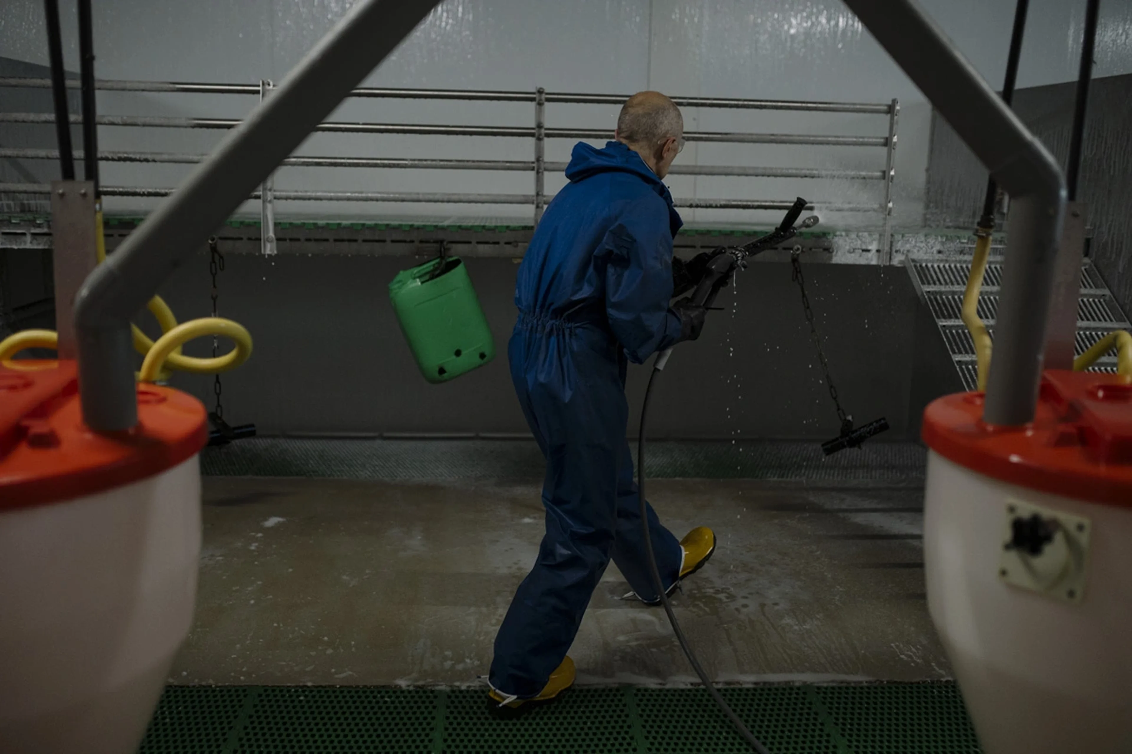 Person in blue coveralls and yellow boots cleaning a floor with a hose in a pig pen.