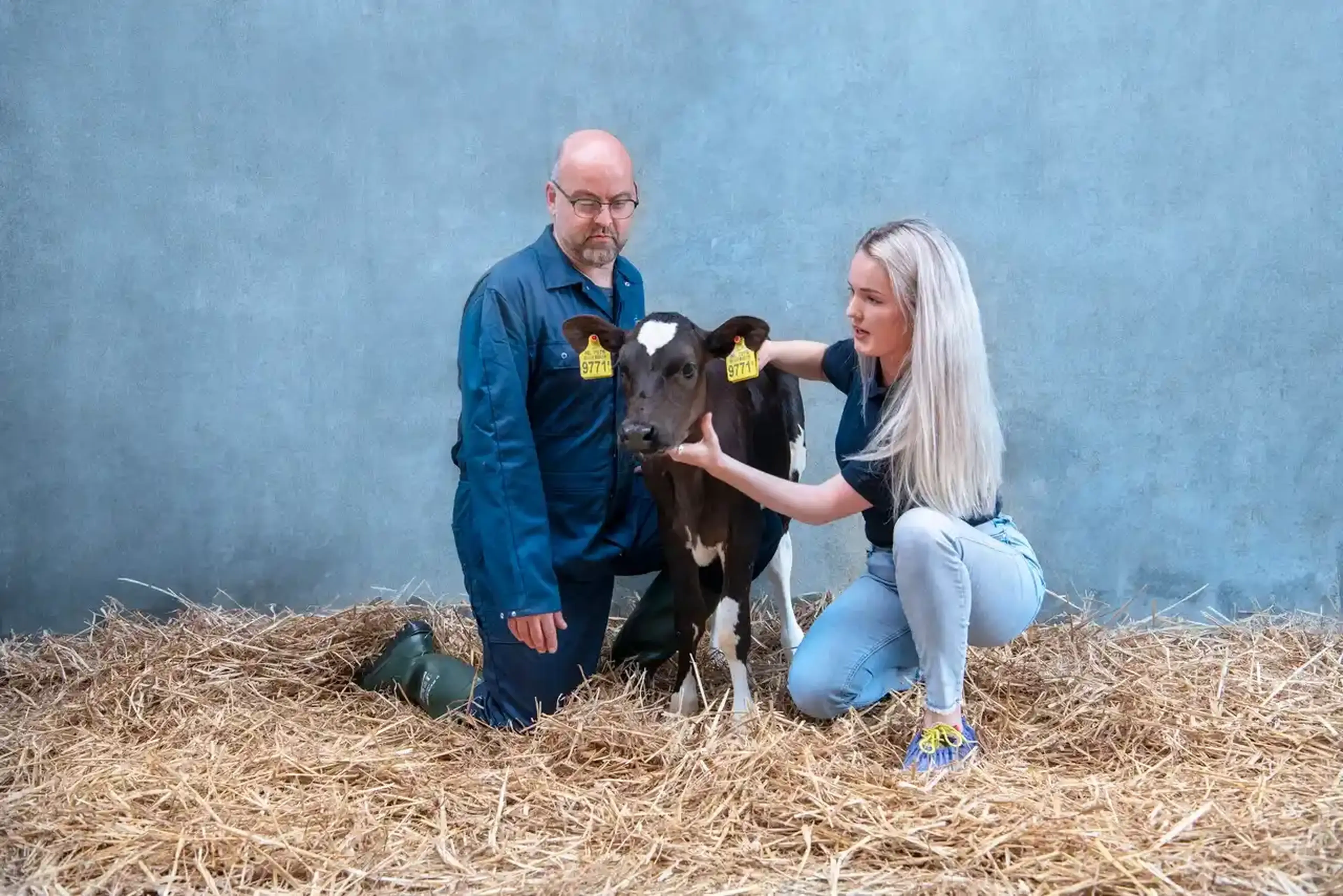 Denkavit health check calf