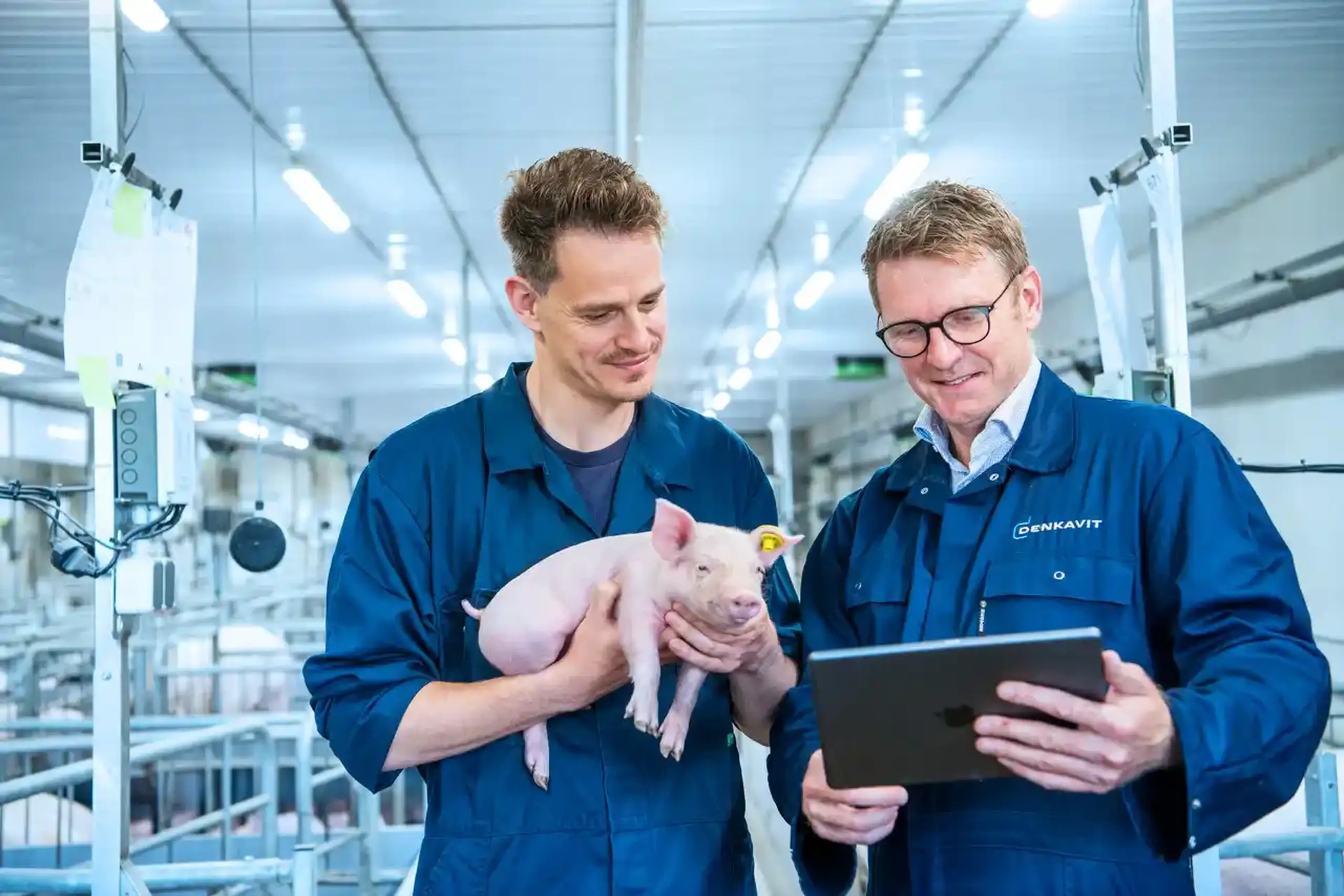 Denkavit pig stable advisor digital