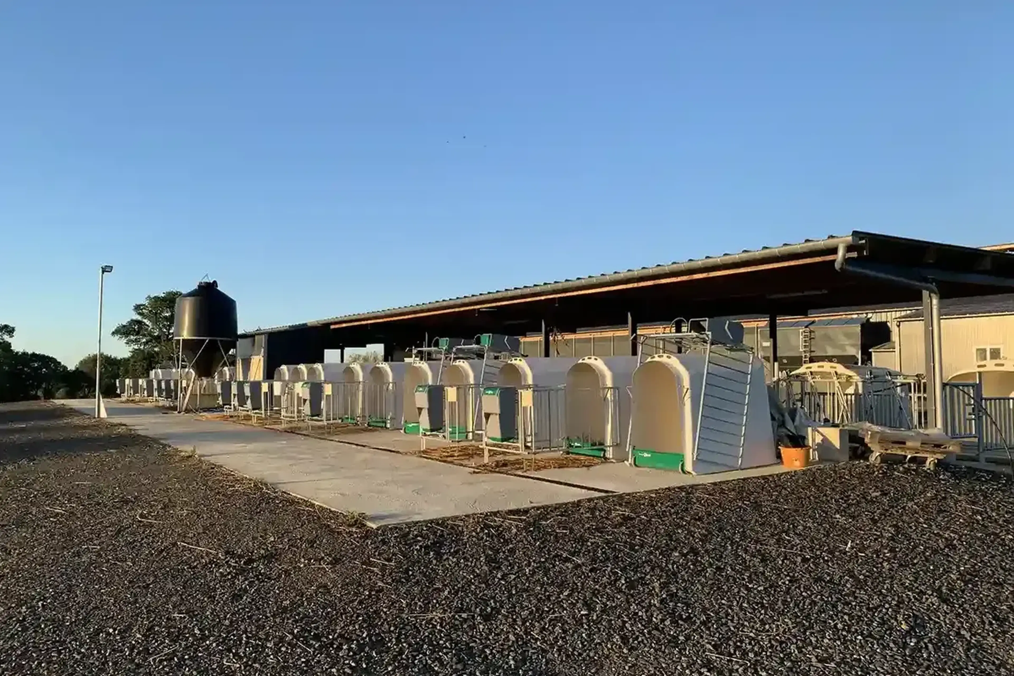 CalfOtel_outdoor_nurseries