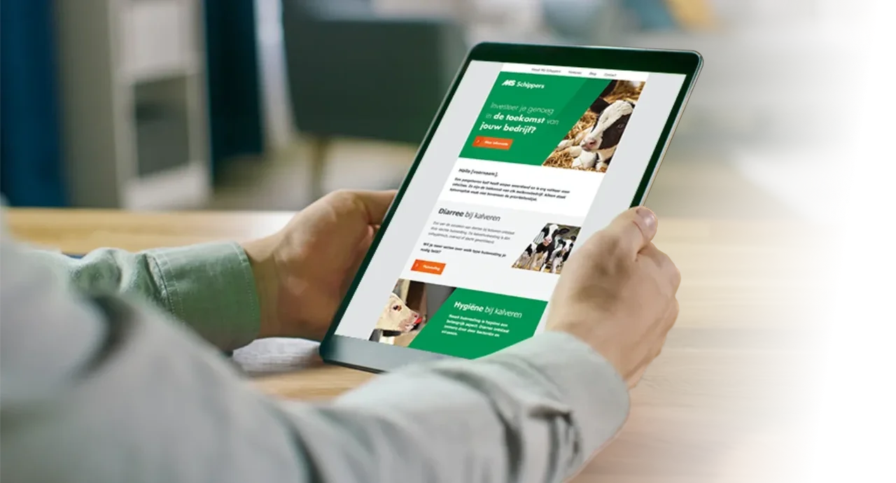 Newsletter image
