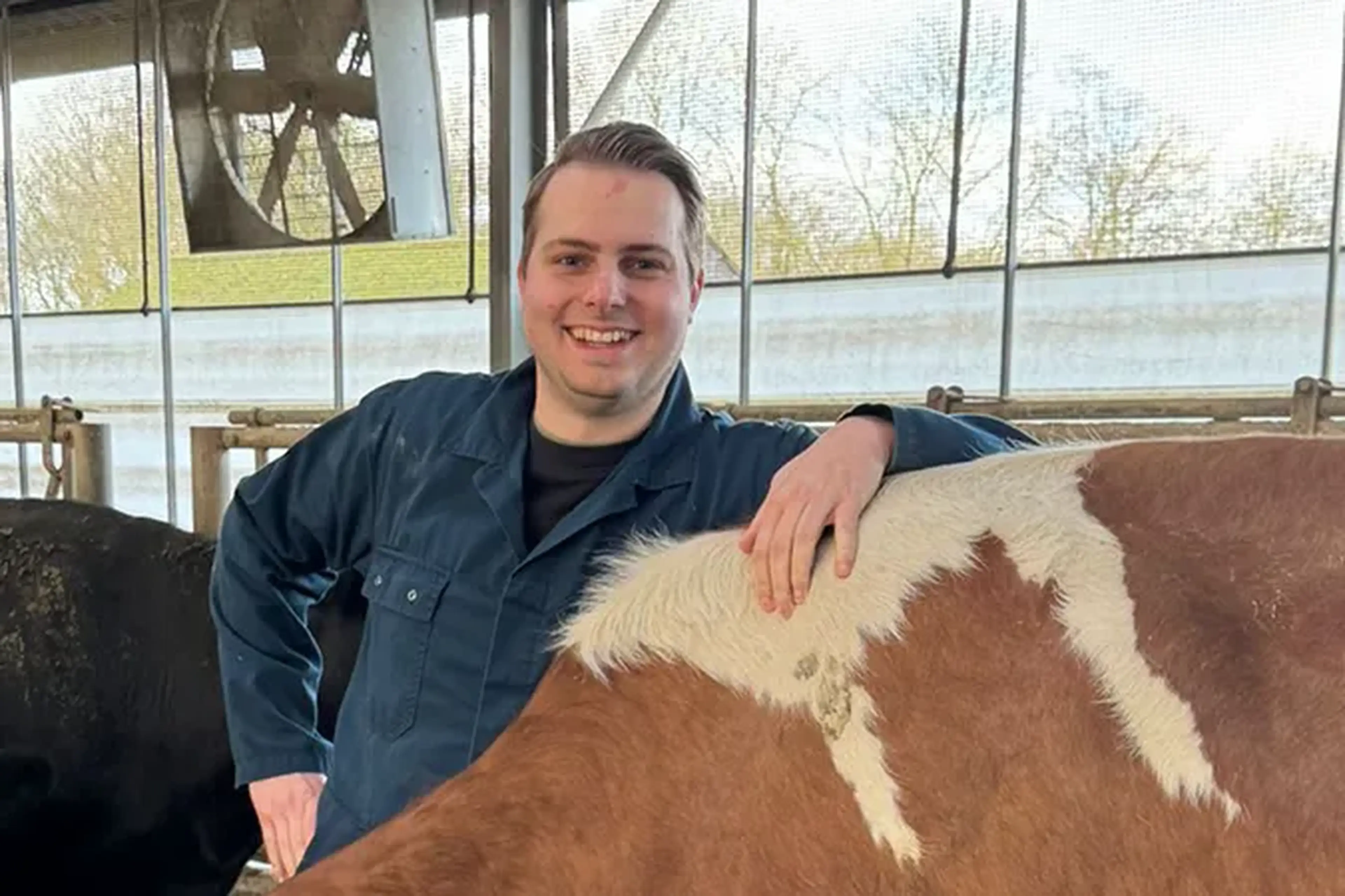 daan-bergmans-cattle-team