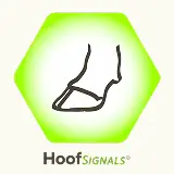 hoofsignals logo