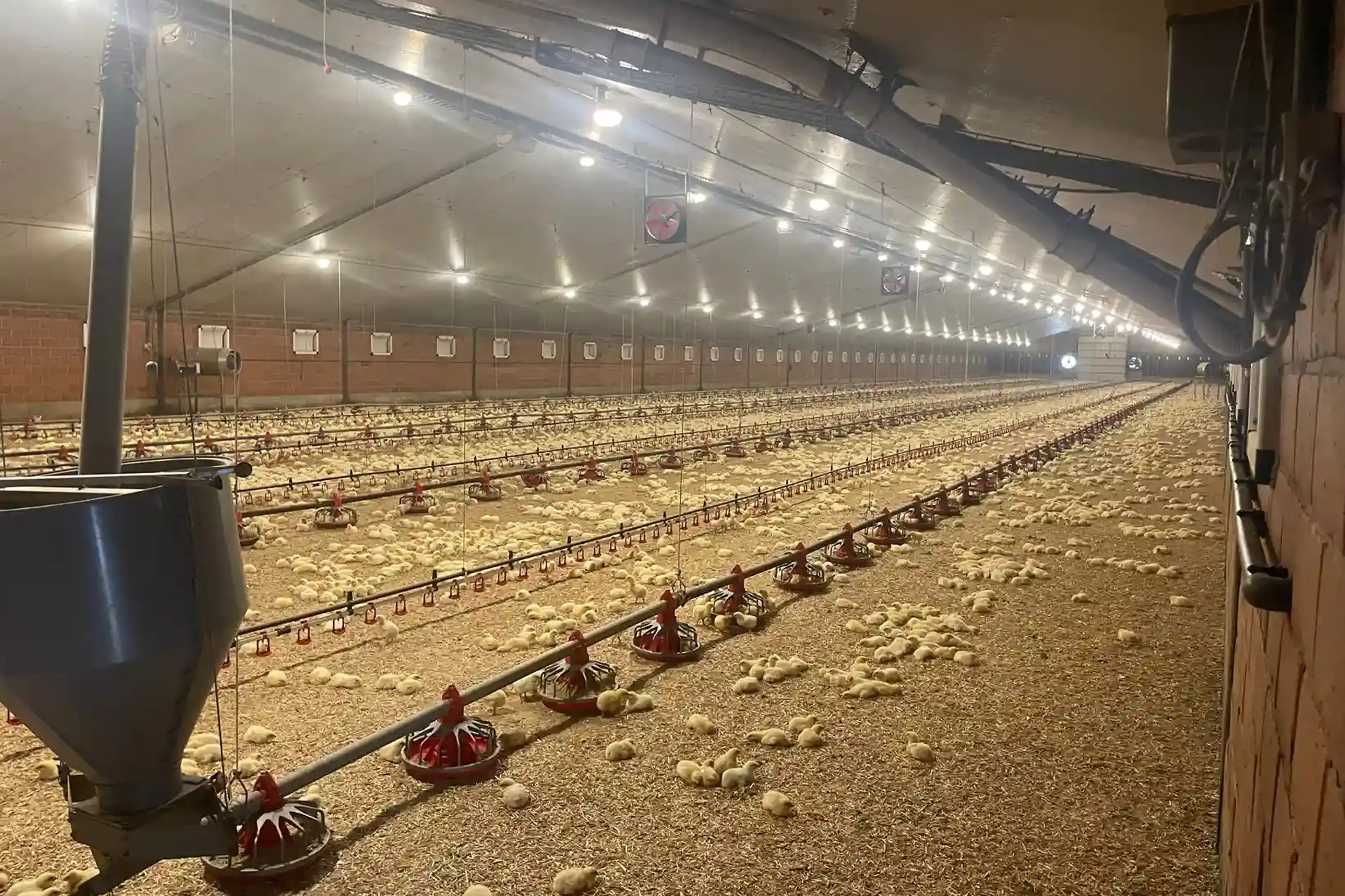 waterskid waterzuiveringssysteem review driessens kippen 